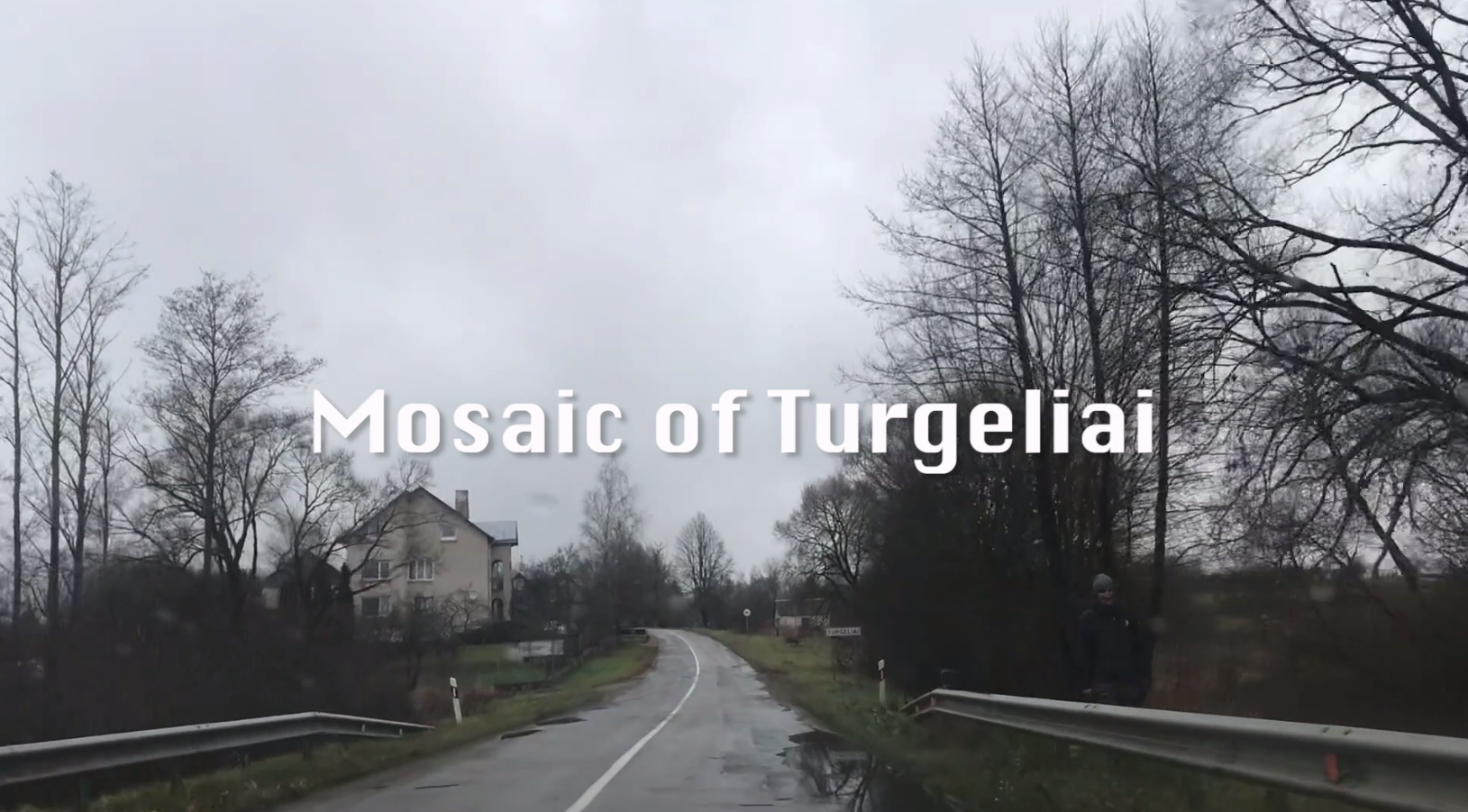 Vasaros atgarsiai Turgeliuose